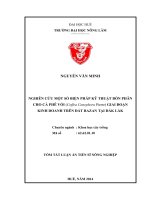 Nghiên cứu một số biện pháp kỹ thuật bón phân cho cà phê vối (coffea canephora pierre) giai đoạn kinh doanh trên đất bazan tại đắk lắk (TT)