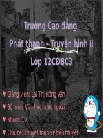 Chủ đề thuyết trình về tiểu thuyết tấn trò đời 