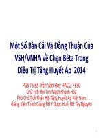 Một Số Bàn Cãi Và Đồng Thuận Của VSH/VNHA Về Chẹn Bêta Trong Điều Trị Tăng Huyết Áp 2014