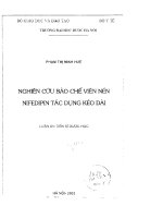 Nghiên cứu bào chế viên nén nifedipin tác dụng kéo dài