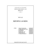 tiểu luận về hợp đồng lao động