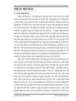 Phân tích tình hình nhập khẩu và sử dụng phân bón ở việt nam từ năm 2007 đến năm 2009