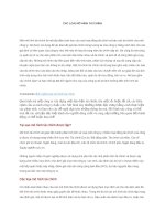 Các loại mô hình tài chính