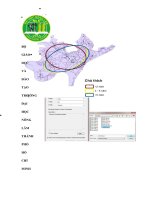Ứng dụng GIS hỗ trợ phân tích kinh doanh cho hệ thống cửa hàng bán lẻ sản phẩm vinamilk áp dụng trong phạm vi quận thủ đức