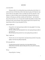 thực trạng nông nghiệp và thương mại điện tử trong ngành nông nghiệp việt nam