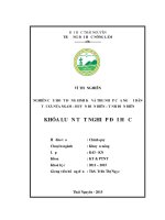 NGHIÊN cứu HOẠT ĐỘNG SINH kế và THU NHẬP của NGƯỜI dân tại xã núa NGAM – HUYỆN điện BIÊN – TỈNH điện BIÊN 