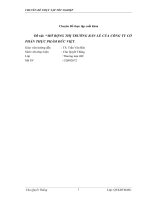 MỞ RỘNG THỊ TRƯỜNG bán lẻ của CÔNG TY cổ PHẦN THỰC PHẨM đức VIỆT 