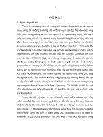 Nghiên cứu chế tạo và khảo sát các tính chất đặc trưng của vật liệu điện cực catốt
