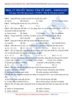 Lý thuyết trọng tâm amin amino axit