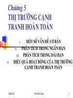 BÀI GIẢNG KINH TẾ VI MÔ CHƯƠNG 5