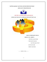 BÁN PHÁ GIÁ và CHỐNG bán PHÁ GIÁ ở VIỆT NAM