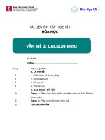 Lớp 12 Ôn tập cacbohidrat