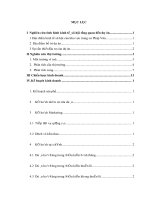 chiến lược kinh doanh  dự án”cửa HÀNG RAU SẠCH