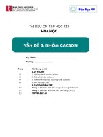 Ôn tập lớp 11 - Cacbon Silic
