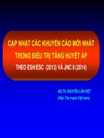 CẬP NHẬT CÁC KHUYẾN CÁO MỚI NHẤT TRONG ĐIỀU TRỊ TĂNG HUYẾT ÁP THEO ESH/ESC (2013) VÀ JNC 8 (2014)