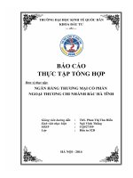 Báo cáo thực tập tổng hợp tại ngân hàng thương mại cổ phần ngoại thương chi nhánh bắc Hà Tĩnh
