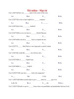 Thi online   mạo từ có đáp án - ôn thi tiếng anh