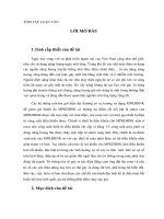 tóm tắt luận văn thạc sĩ kỹ thuật  nghiên cứu và mô phỏng MPKĐBNK khi xảy ra lỗi lưới, đặc biệt là với lỗi lưới không đối xứng 2 