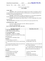 GIÁO án lớp 5 học kỳ II môn  LUYỆN từ và câu 