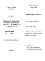 Nghiên cứu các yếu tố ảnh hưởng đến quá trình phân hủy thuốc trừ sâu diazion bằng các tác nhân (FENTON UV)Fe2 UVH2O2, Fe(IIIOxalatH2O2