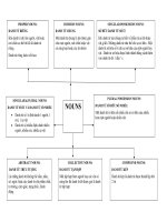 Bảng phân loại danh từ tiếng anh