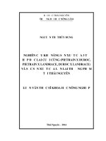 Nghiên cứu khả năng sản xuất của 3 tỏ hợp đực lai cuối cùng (pietrain x duroc, pietrain x landrace, duroc x landrace) và sức sản xuất của lợn lai thương phẩm tại thái nguyên