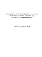 ĐÁNH GIÁ HIỆU QUẢ KINH TẾ CỦA CÂY CA CAO TRONG MÔ HÌNH TRỒNG XEN VỚI CÂY ĂN TRÁI TẠI  HUYỆN CHÂU THÀNH TỈNH BẾN TRE