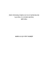 PHÂN TÍCH HOẠT ĐỘNG SẢN XUẤT KINH DOANH  TẠI CÔNG TY CỔ PHẦN ĐƯỜNG  BIÊN HÒA