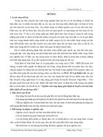 tóm tắt luận văn thạc sĩ kỹ thuật nghiên cứu ứng dụng giải thuật di truyền cho bài toán điều khiển tối ưu đa mục tiêu 
