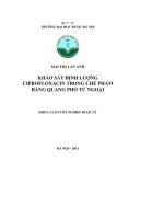 Khảo sát định lượng ciprofloxacin trong chế phẩm bằng quang phổ tử ngoại
