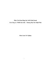 Phân Tích Hoạt Động Sản Xuất Kinh Doanh  Của Công Ty TNHH Sản Xuất – Thương Mại Tân Thịnh Phát