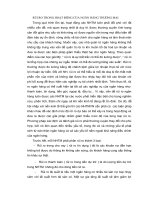 RỦI RO TRONG HOẠT ĐỘNG của NGÂN HÀNG THƯƠNG mại