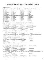 Bài ôn thi tiếng anh 10 