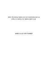 PHÂN TÍCH HOẠT ĐỘNG SẢN XUẤT KINH DOANH TẠI CÔNG TY GIỐNG CÂY TRỒNG MIỀN NAM