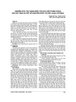 NGHIÊN cứu tác DỤNG điều TRỊ của CHẾ PHẨM LEXKA đối với TĂNG HUYẾT áp NGUYÊN PHÁT có rối LOẠN LIPITMÁU