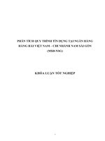 PHÂN TÍCH QUY TRÌNH TÍN DỤNG TẠI NGÂN HÀNG HÀNG HẢI VIỆT NAM – CHI NHÁNH NAM SÀI GÒN