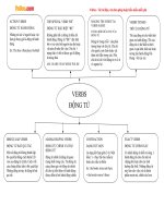 Bảng phân loại động từ tiếng anh