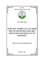 Bước đầu nghiên cứu xác định một số thành phần hóa học trong hoài sơn bằng sắc ký lớp mỏng