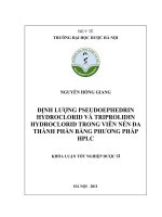 Định lượng pseudoephedrin hydroclorid và triprolidin hydroclorid trong viên nén đa thành phần bằng HPLC