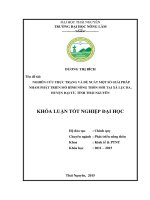 Nghiêu cứu thực trạng và đề xuất một số giải pháp nhằm pháp triển mô hình nông thôn mới tại xã lục ba   huyện đại từ   tỉnh thái nguyên