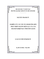 Nghiên cứu các yếu tố ảnh hưởng đến sự phát triển nguồn nhân lực của các doanh nghiệp may tỉnh Tiền Giang.
