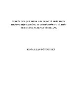 NGHIÊN CỨU QUÁ TRÌNH  XÂY DỰNG VÀ PHÁT TRIỂN THƯƠNG HIỆU TẠI CÔNG TY CỔ PHẦN ĐẦU TƯ VÀ PHÁT TRIỂN CÔNG NGHỆ NGUYỄN HOÀNG