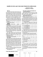 NGHIÊN cứu rối LOẠN TUẦN HOÀN TRONG sốc NHIỄM KHUẨN