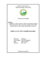 Nghiên cứu thực trạng và đề xuất một số giải pháp nhằm giải quyết việc làm cho lao động nông thôn trên địa bàn xã hưng đạo   thành phố cao bằng
