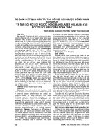 SO SÁNH kết QUẢ điều TRỊ tán sỏi nội SOI NGƯỢC DÒNG BẰNG XUNG hơi và tán sỏi nội SOI NGƯỢC DÒNG BẰNG LASER HOLMIUM  YAG đối với sỏi NIỆU QUẢN đoạn THẤP