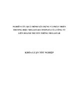 NGHIÊN CỨU QUÁ TRÌNH XÂY DỰNG VÀ PHÁT TRIỂN THƯƠNG HIỆU MEGASTAR CINEPLEX CỦA CÔNG TY LIÊN DOANH TRUYỀN THÔNG MEGASTAR