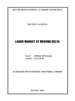 Labor market in the mekong delta region 