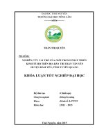 Nghiên cứu vai trò của giới trong phát triển kinh tế hộ tại thị trấn tân yên   huyện hàm yên   tỉnh tuyên quang