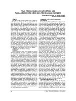 THỰC TRẠNG NHÂN lực gây mê hồi sức tại các BỆNH VIỆN CÔNG của TỈNH đắk lắk năm 2012