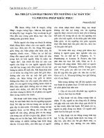 Ma thuật làm hại trong tín ngưỡng các dân tộc và phương pháp khắc phục 